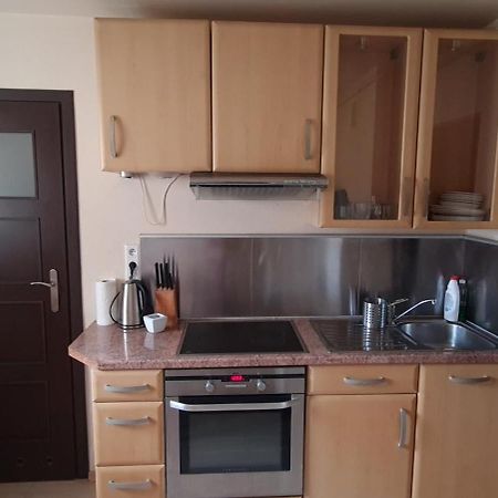 Apartament Czarny Potok Krynica Zdroj Ngoại thất bức ảnh